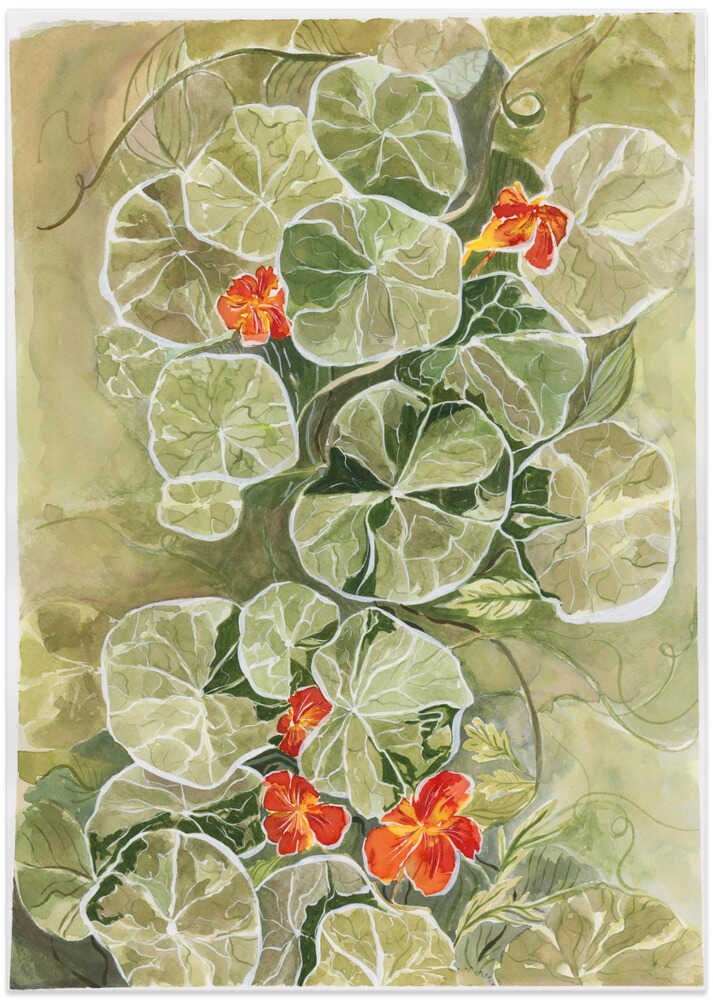 Nasturtium Tapestry