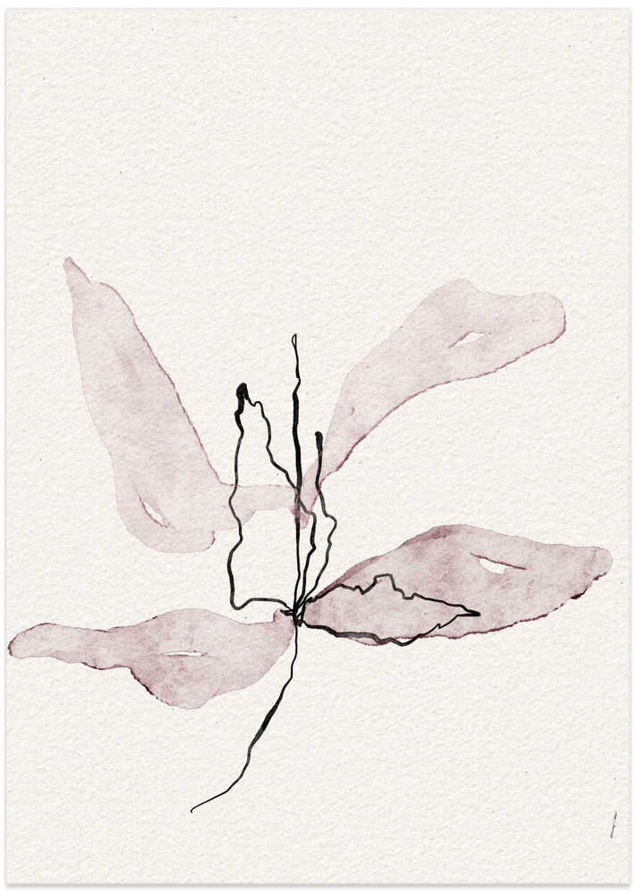 Delicate Petal Dance