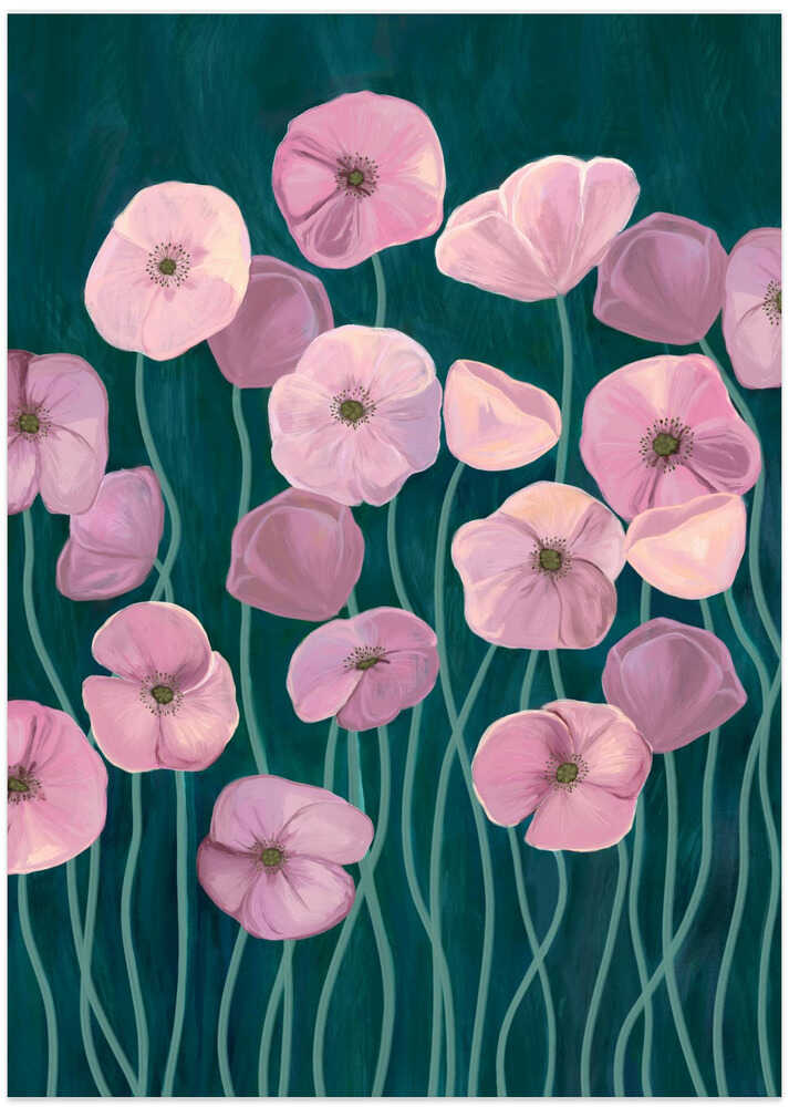 Pink poppies