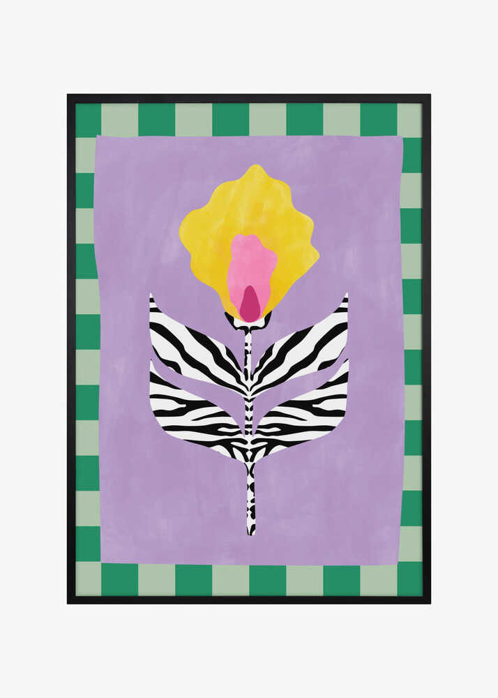Flower with Zebra Patterned Leaves