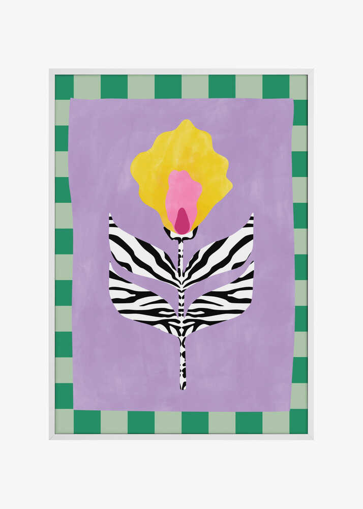 Flower with Zebra Patterned Leaves