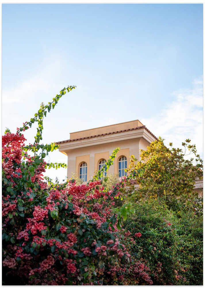 La Dolce Vita | Amalfi Coast Italy