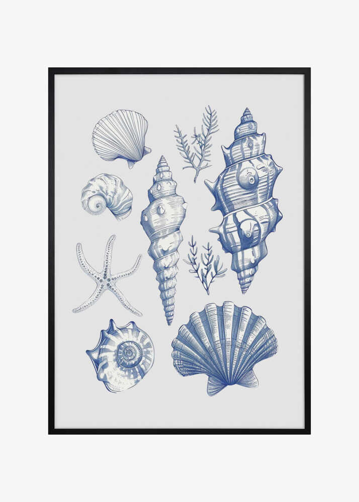 Shell Collage
