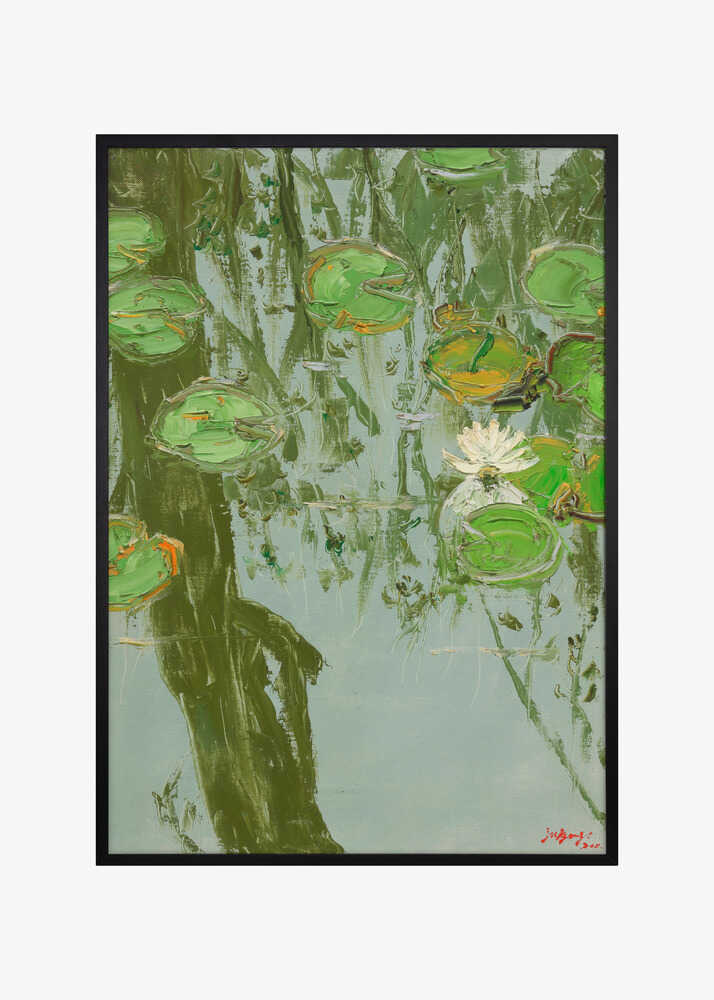 White Water Lily in Pond