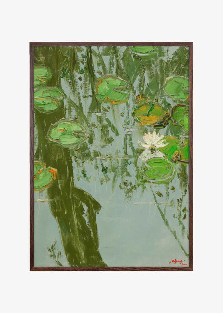 White Water Lily in Pond