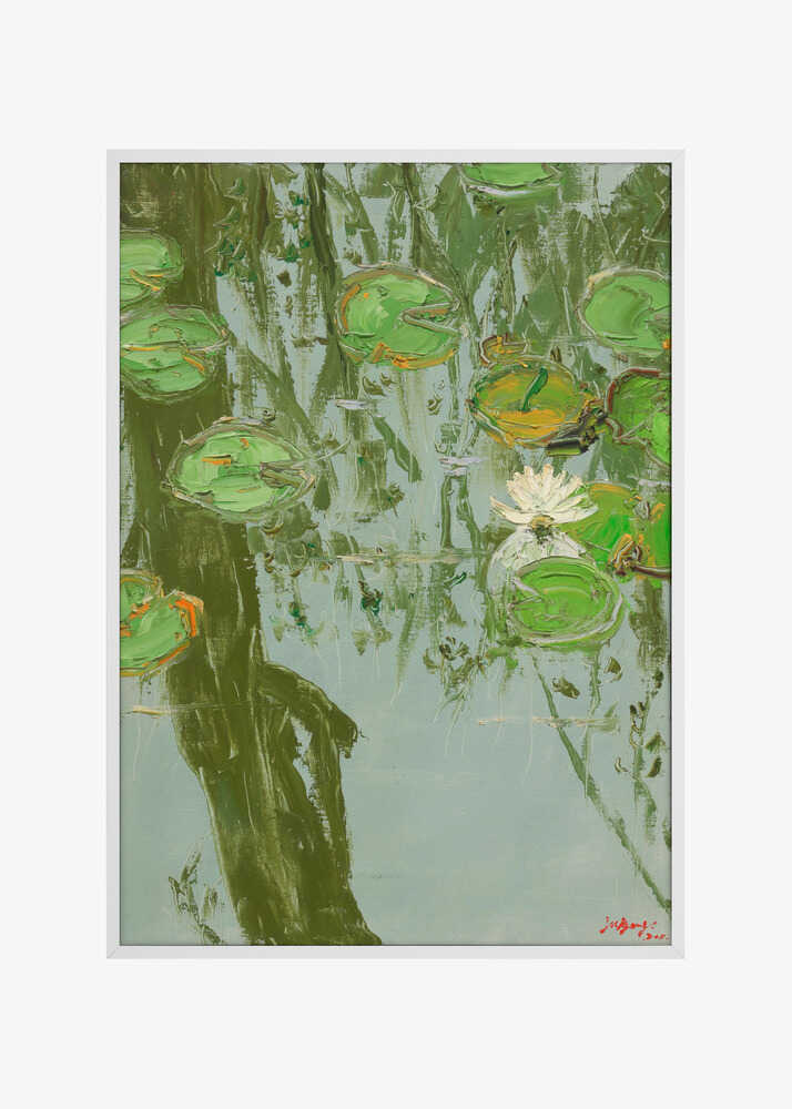 White Water Lily in Pond