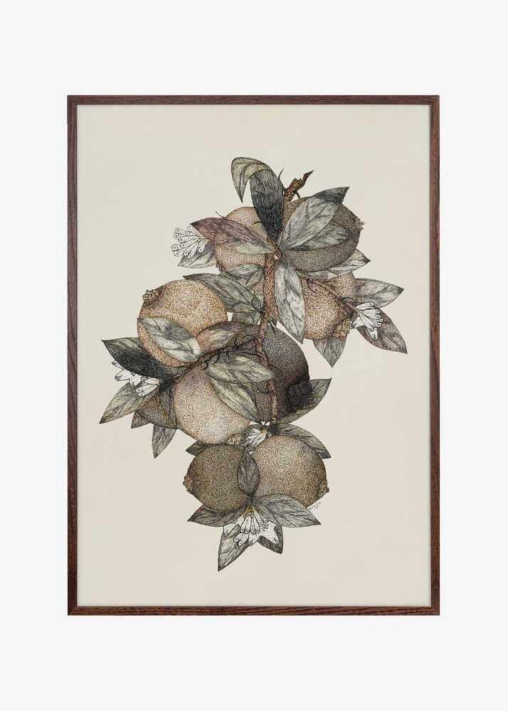 Pomegranate (1867) Rufus King