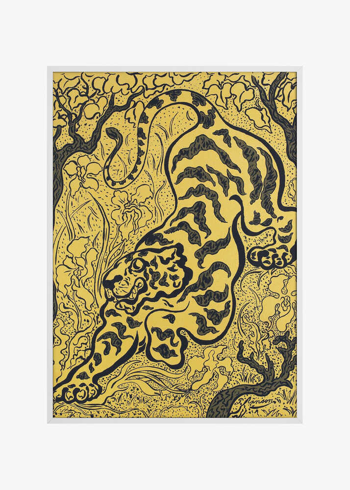 Tigre Dans Les Jungles