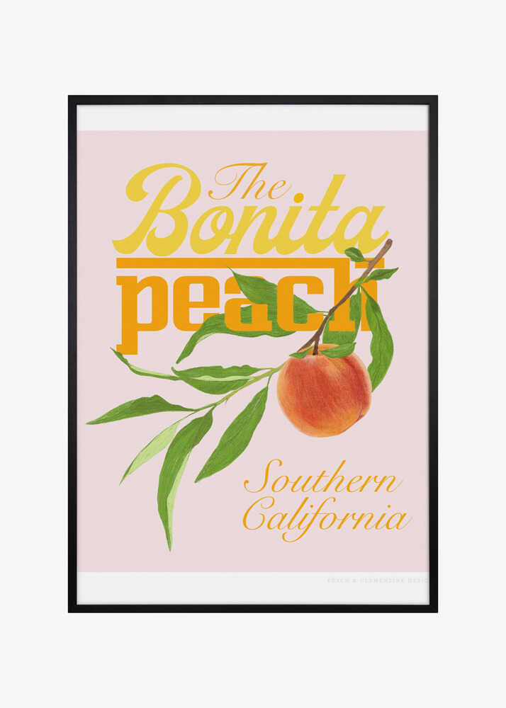 Pandcbonitapeach Copy