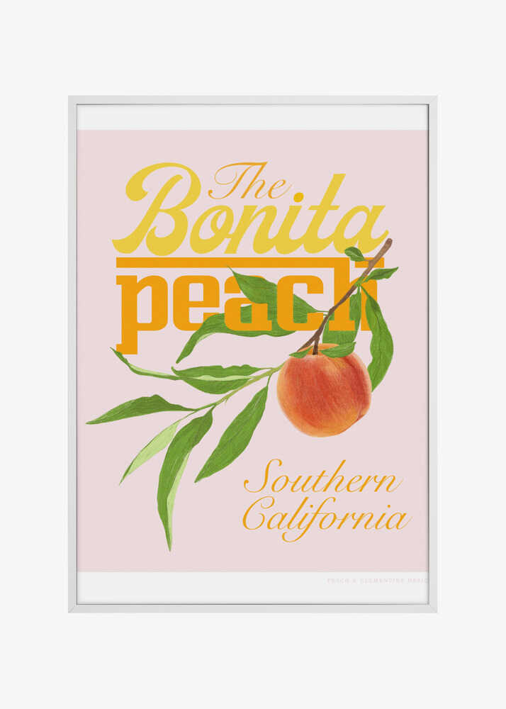 Pandcbonitapeach Copy