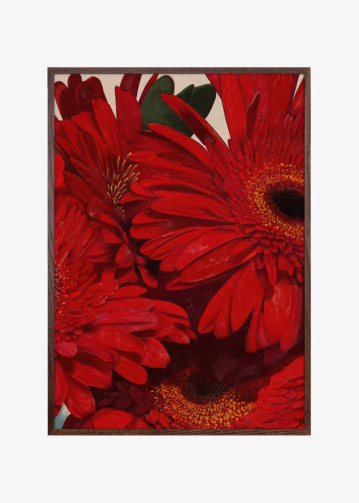 Red Gerbera Daisy Detail