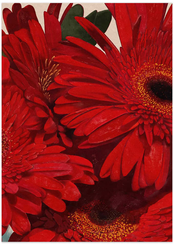 Red Gerbera Daisy Detail