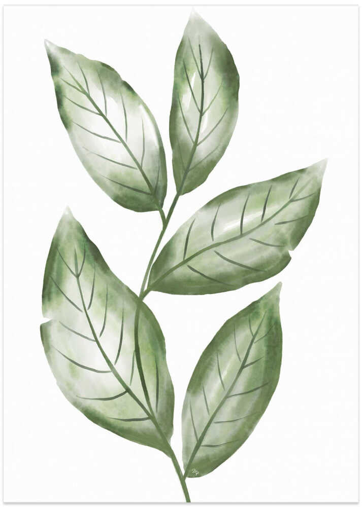 Delicate Branch with Green Leaves