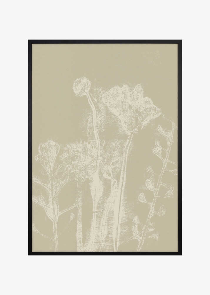 Abstract Florals. White meadow plants and flowers on neutral beige.