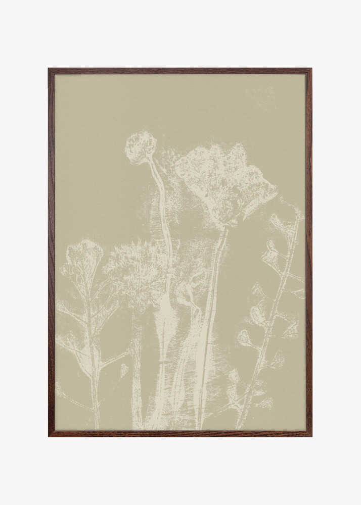 Abstract Florals. White meadow plants and flowers on neutral beige.