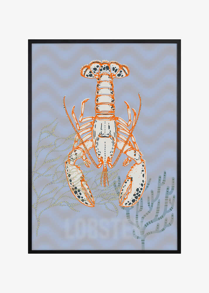 Sea life lobster Neptune's joy