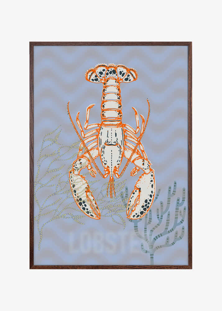 Sea life lobster Neptune's joy