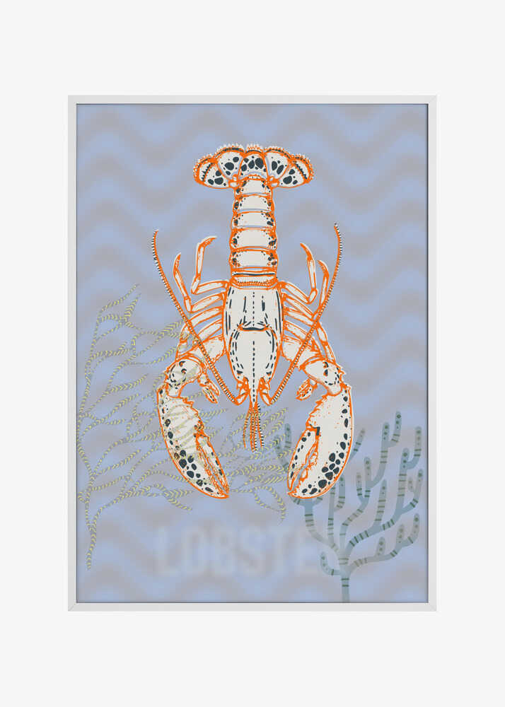 Sea life lobster Neptune's joy