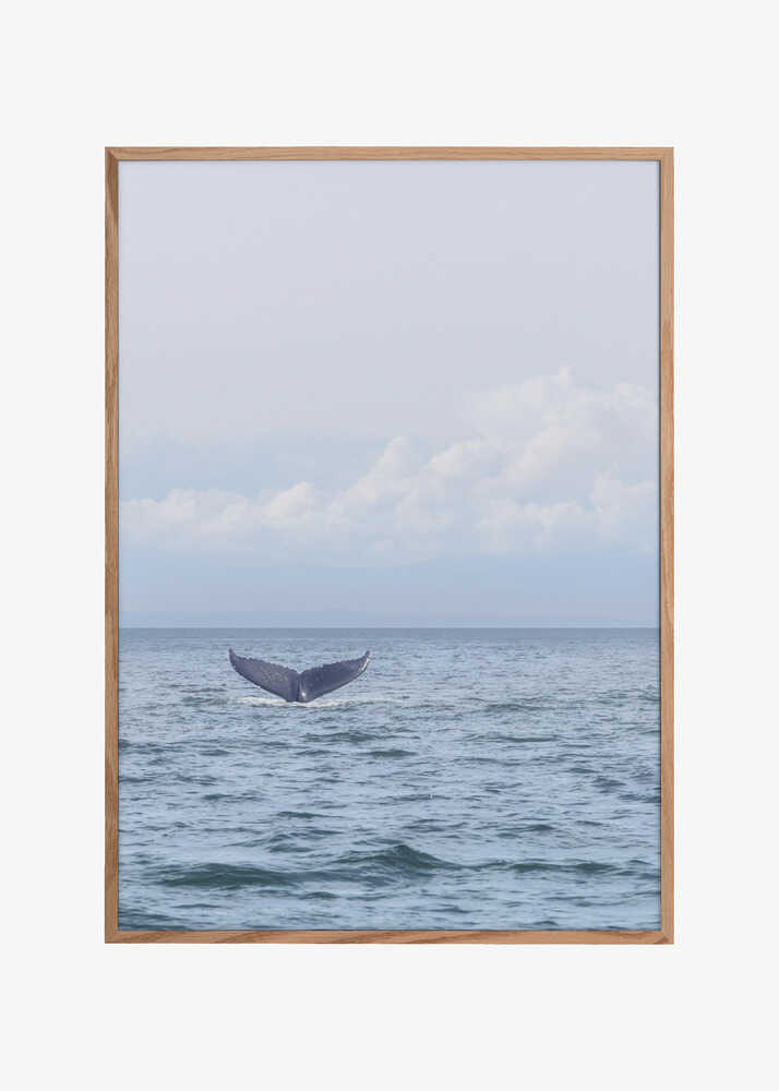 Whale's Farewell