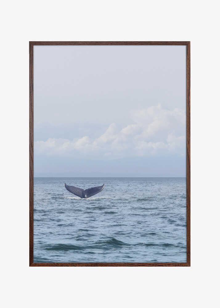 Whale's Farewell