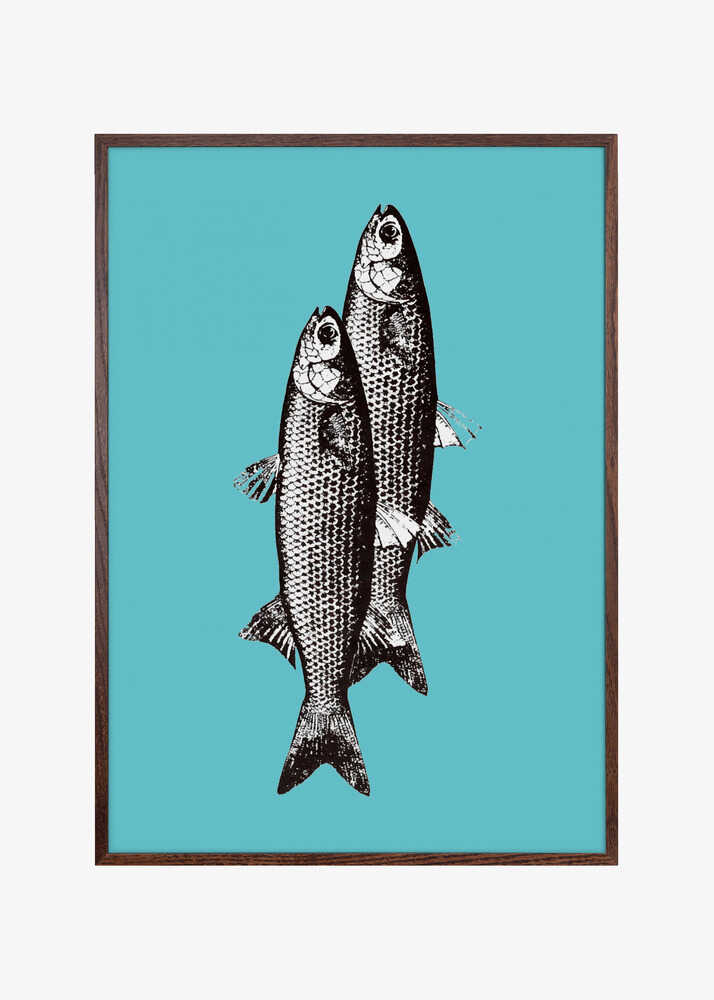 Sardinas