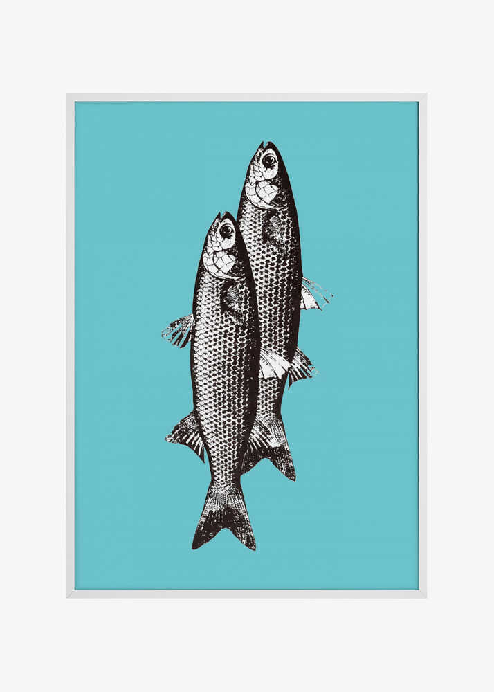 Sardinas