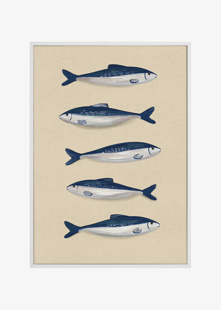 Sardines