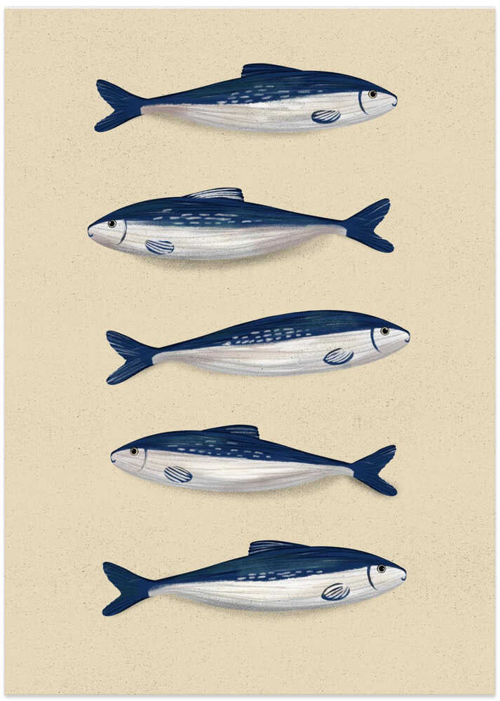 Sardines