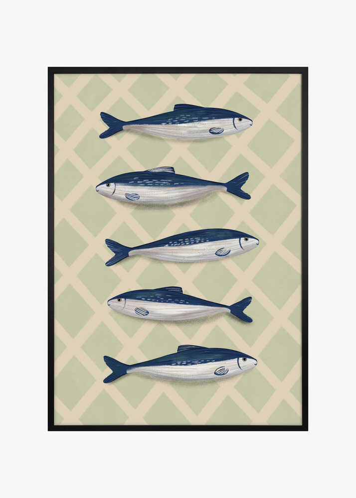 Sardines