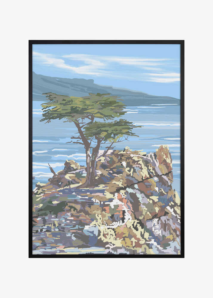 Quiet Sentinel, 17 Mile Drive, California