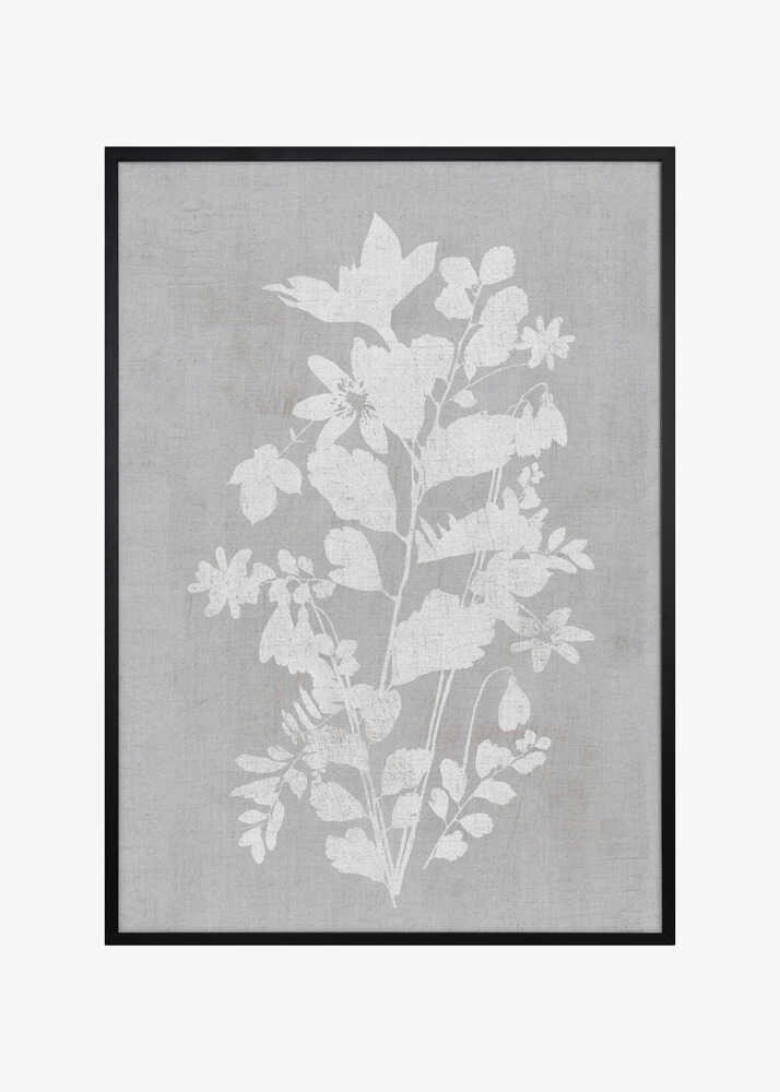 Botanical Illustration 2