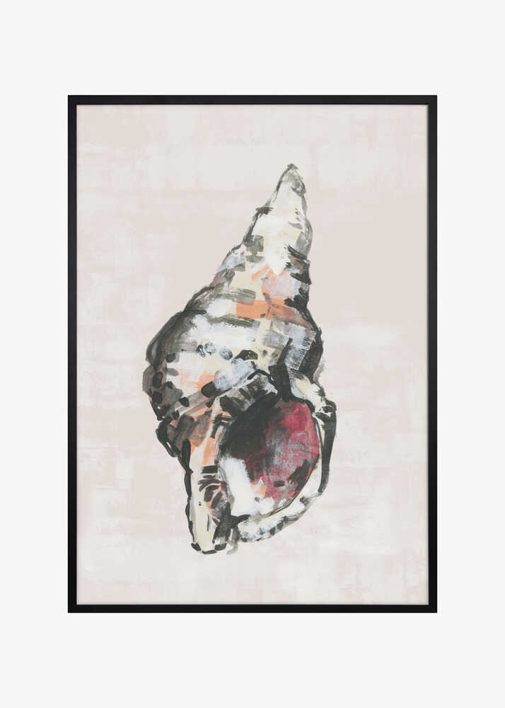 Shell Collector Art Print No 2