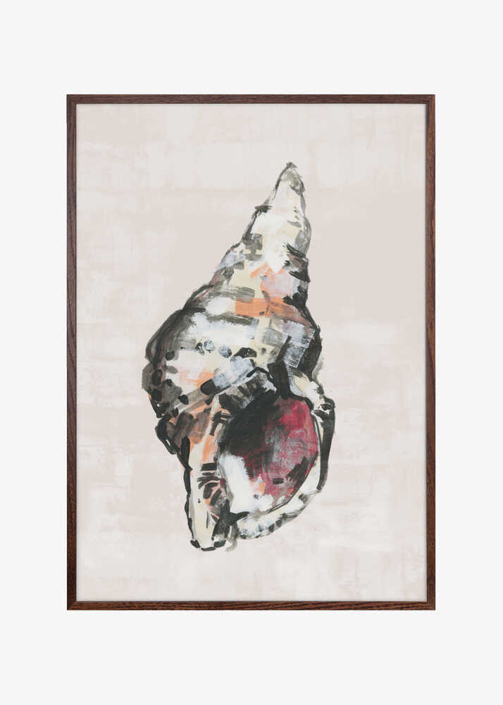 Shell Collector Art Print No 2