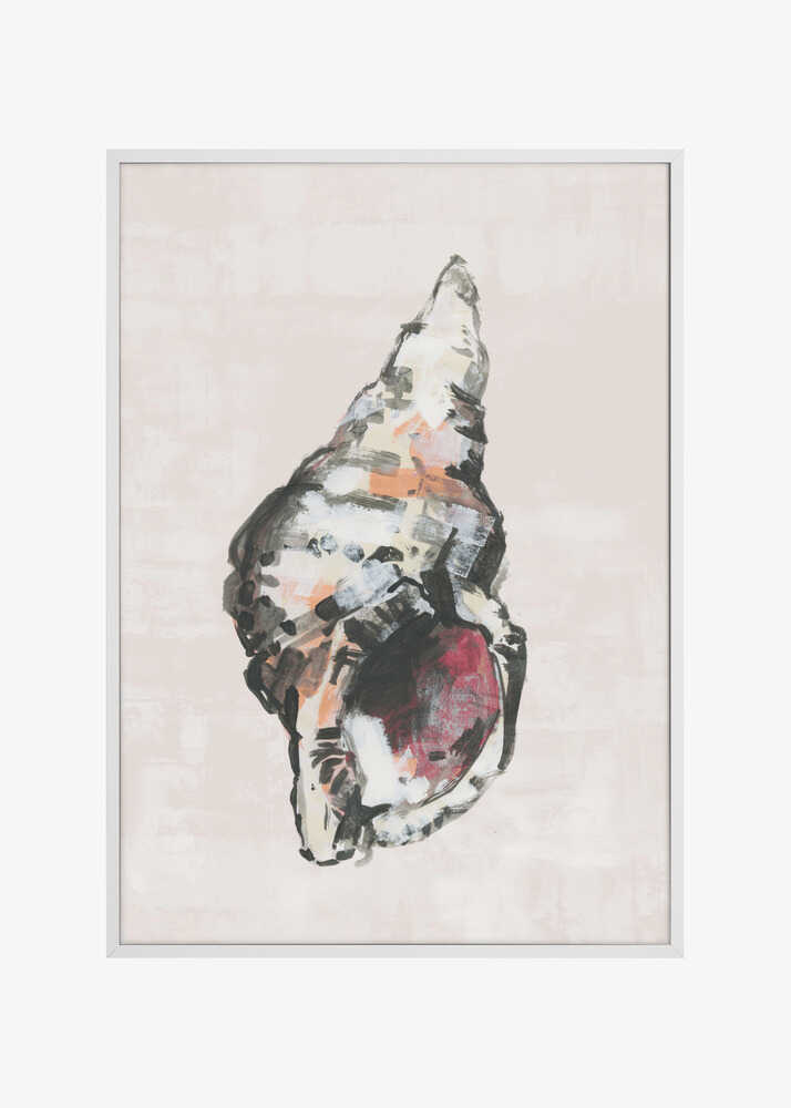 Shell Collector Art Print No 2