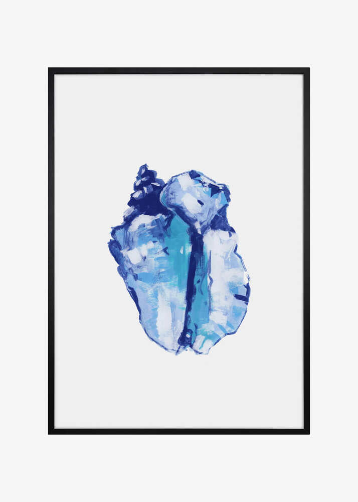 Blue Seashell On White Background No 1