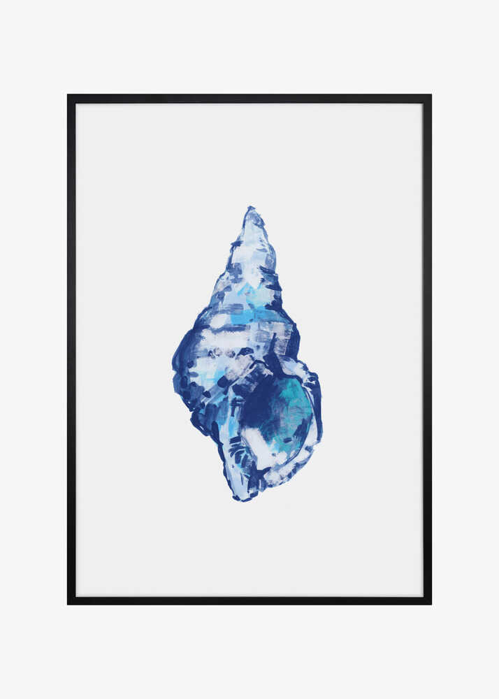 Blue Seashell On White Background No 2