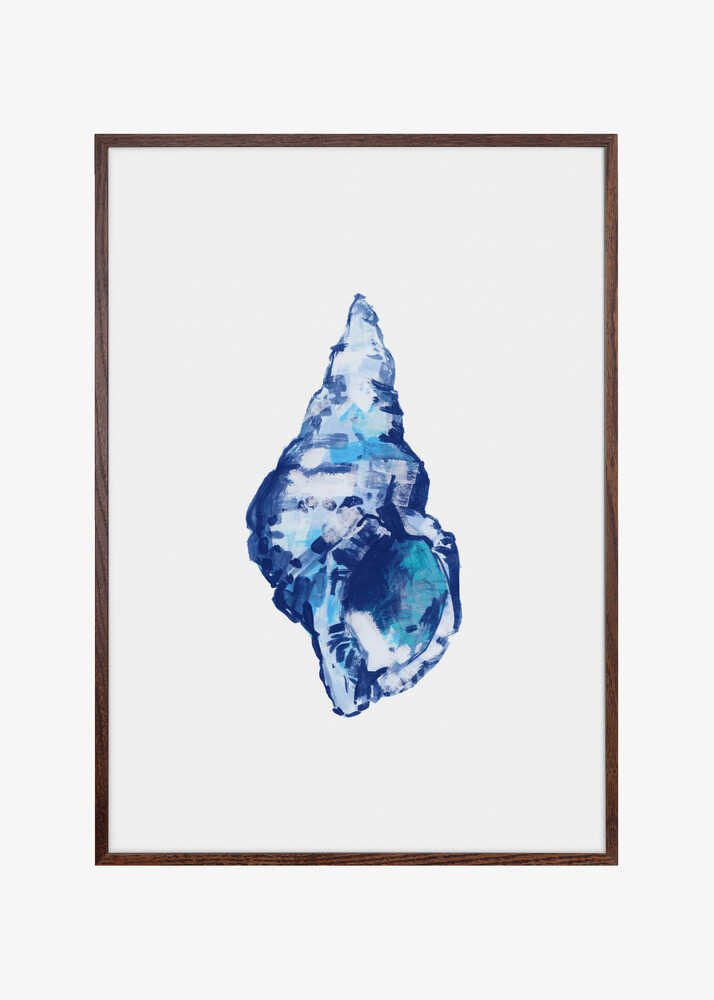 Blue Seashell On White Background No 2