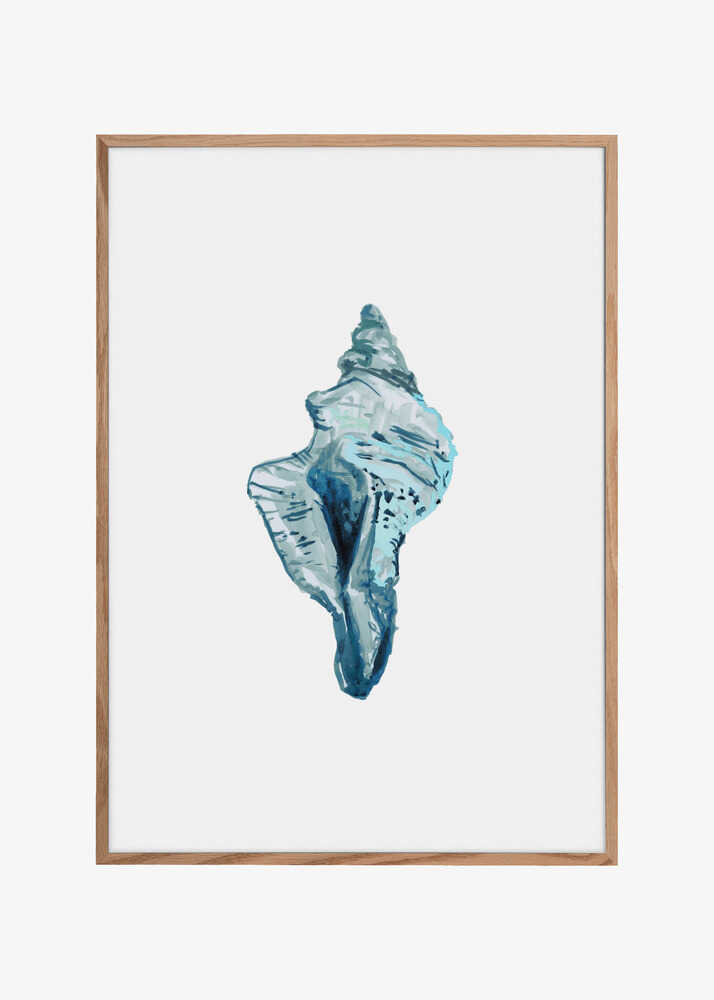 Blue Seashell On White Background No4