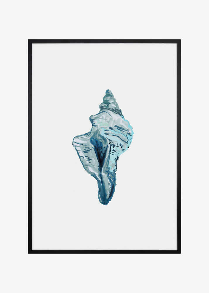 Blue Seashell On White Background No4