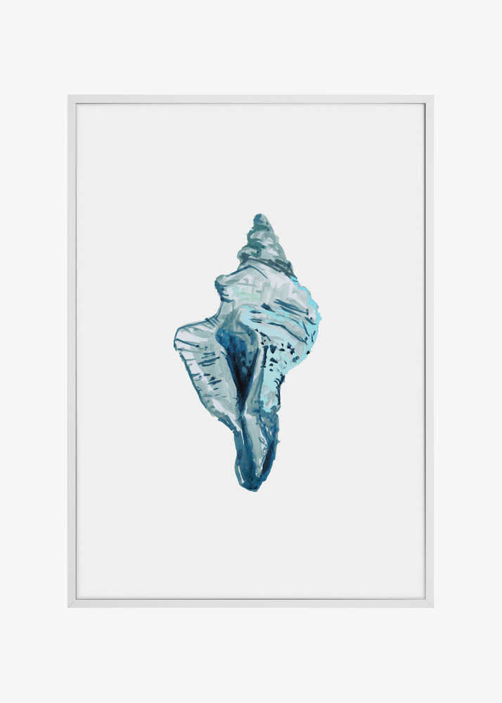 Blue Seashell On White Background No4