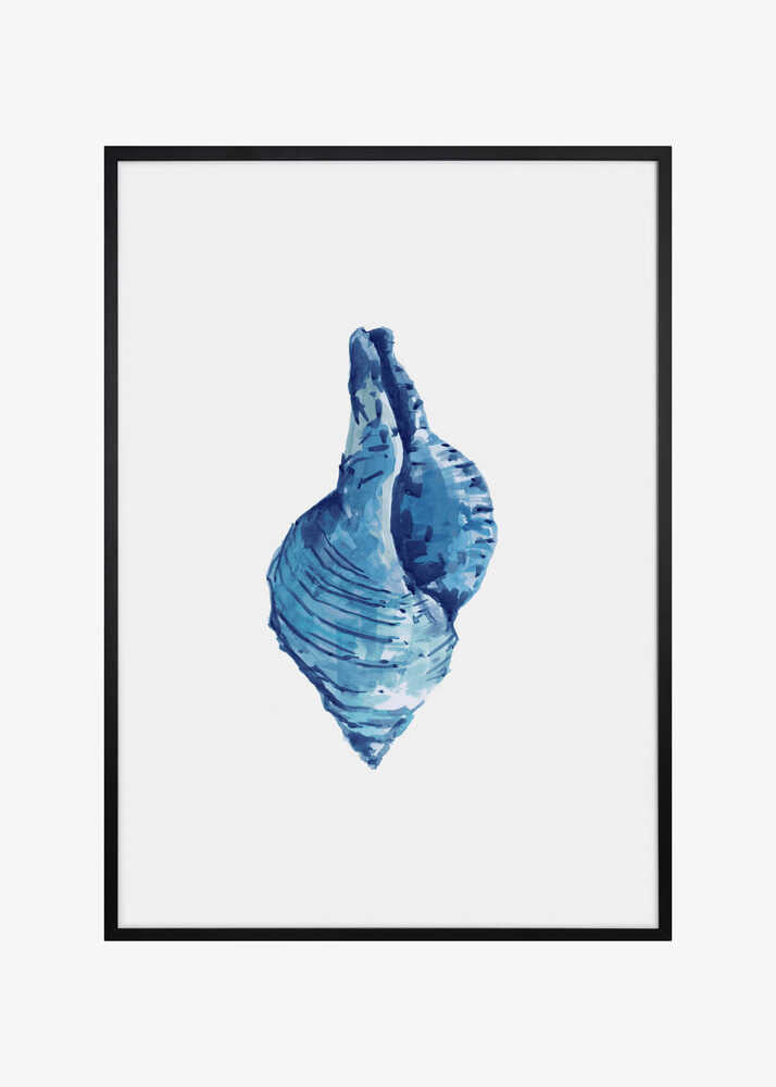 Blue Seashell On White Background No3