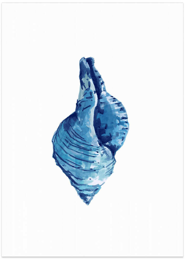 Blue Seashell On White Background No3
