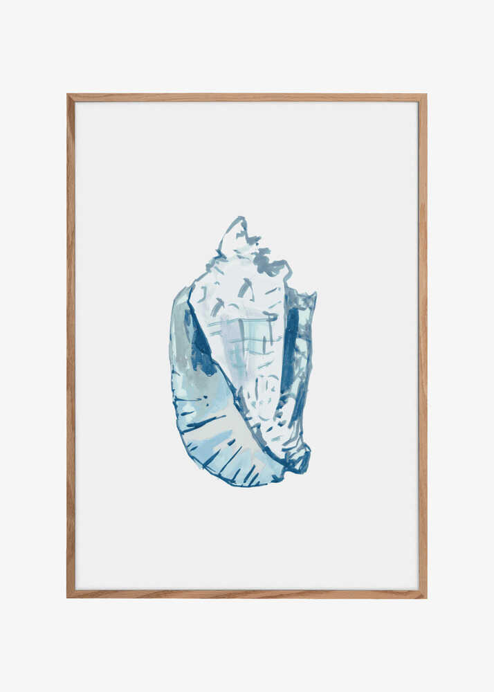 Blue Seashell On White Background No6