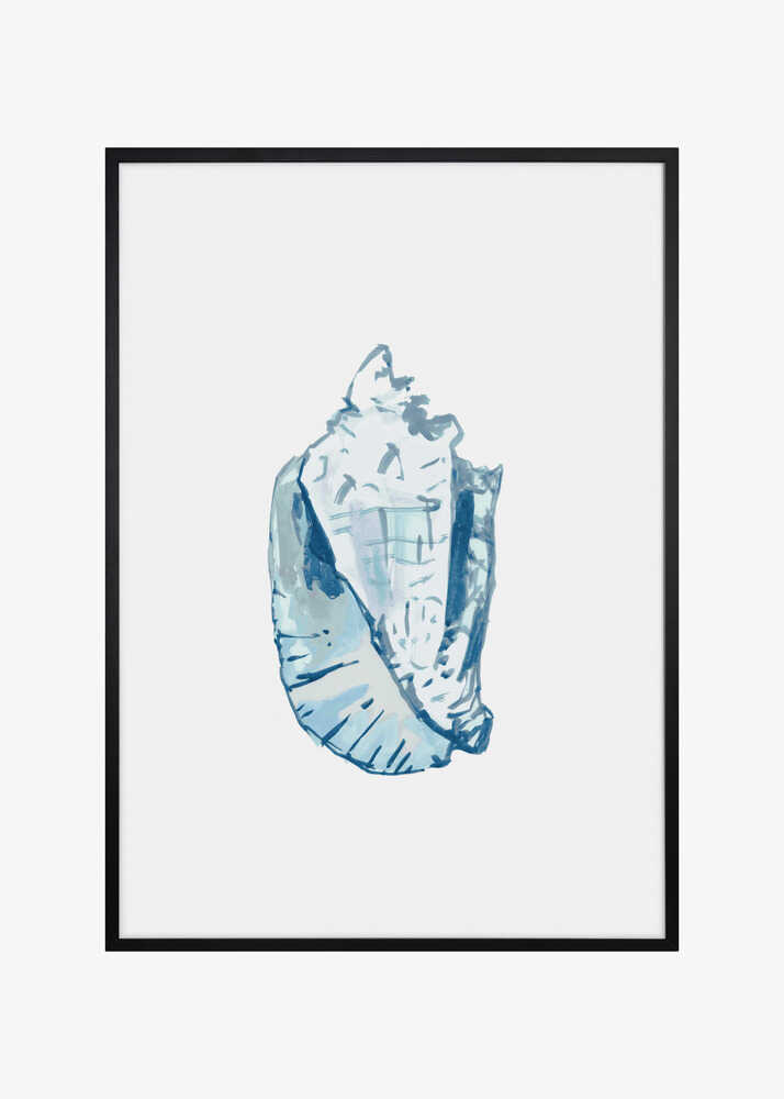 Blue Seashell On White Background No6