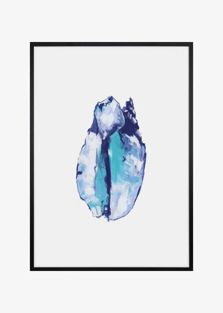 Blue Seashell On White Background No5