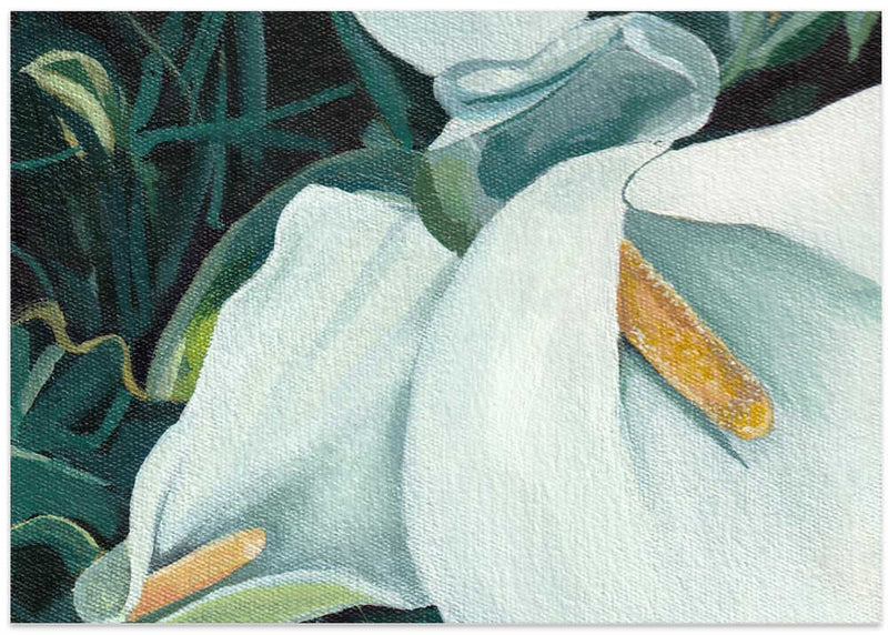 Small Arum 2 By Viccy Wanliss