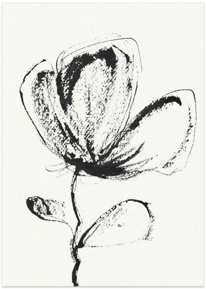 Petal Sketch Essence