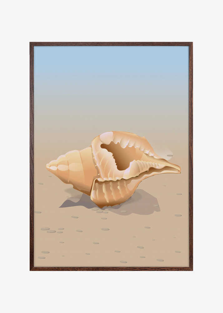 Seaside Shell
