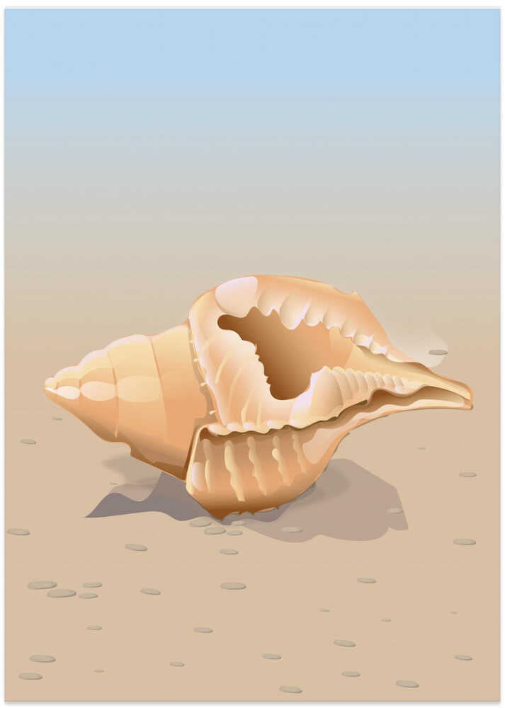 Seaside Shell