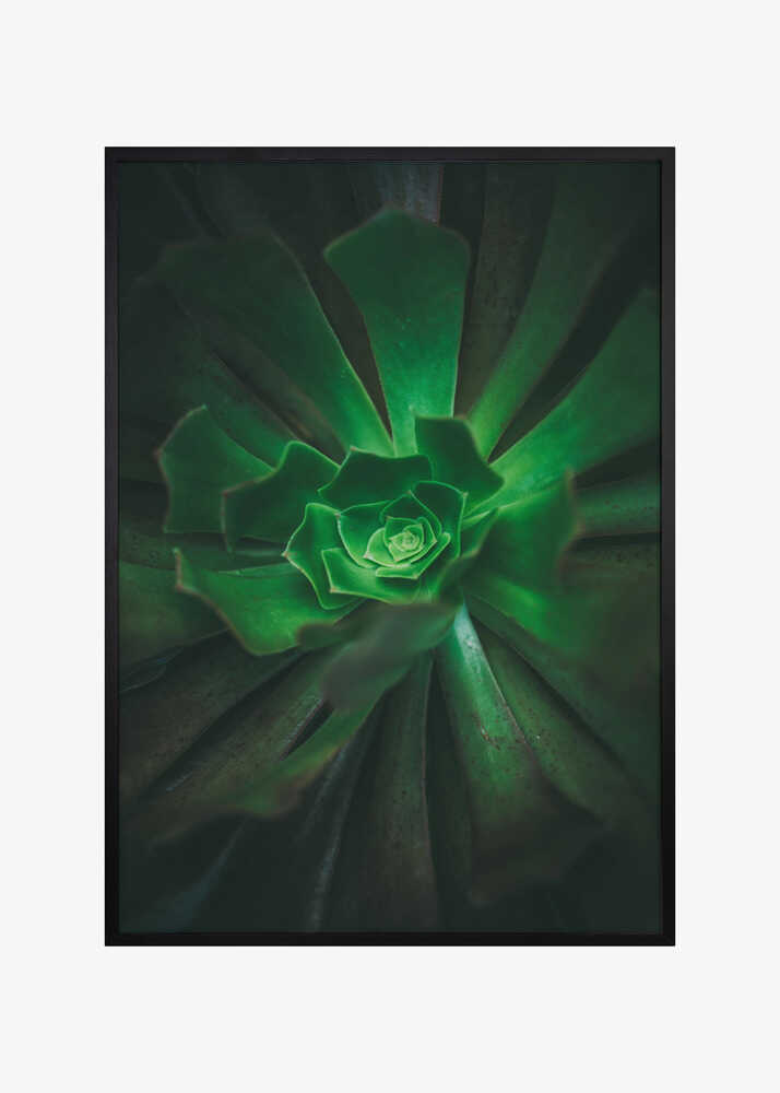 Green Spiral Bloom